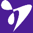 MetroMetrics Logo